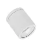 Ledvance Downlight LED Surface IP65 Aluminium Blanc 15W 1575lm 60D - 830 Blanc Chaud | IP65