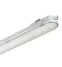 Philips Réglette LED Étanche CoreLine WT120C Gen2 57W 8000lm - 840 Blanc Froid | 150cm