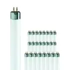Lot 25x Philips T5 Short 8W - 640 Blanc Froid | 29cm